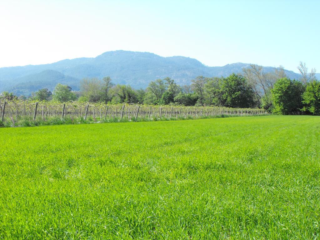 Vila Casa De Fujacos Valenca Exteriér fotografie